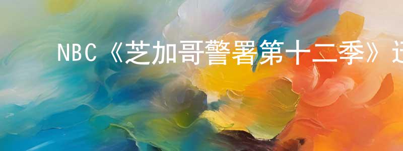 陈宝惠发布NBC《芝加哥警署第十二季》迅雷下载/在线观看/百度云-犯罪/历史载-美剧天堂